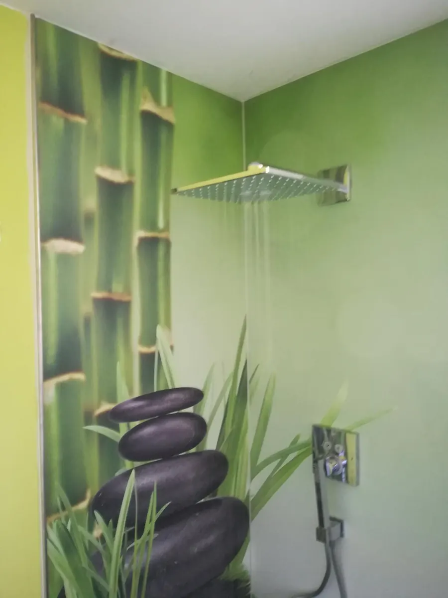 Duschbereich mit grüner Motivwand und Regendusche